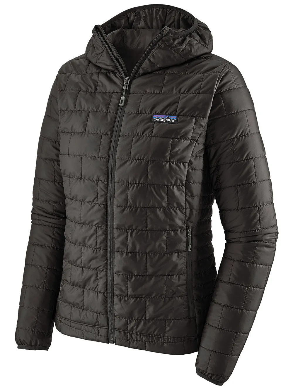 Patagonia